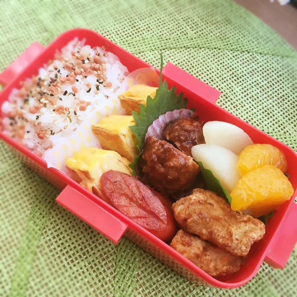 女子大生♡実習お弁当|あこみさん