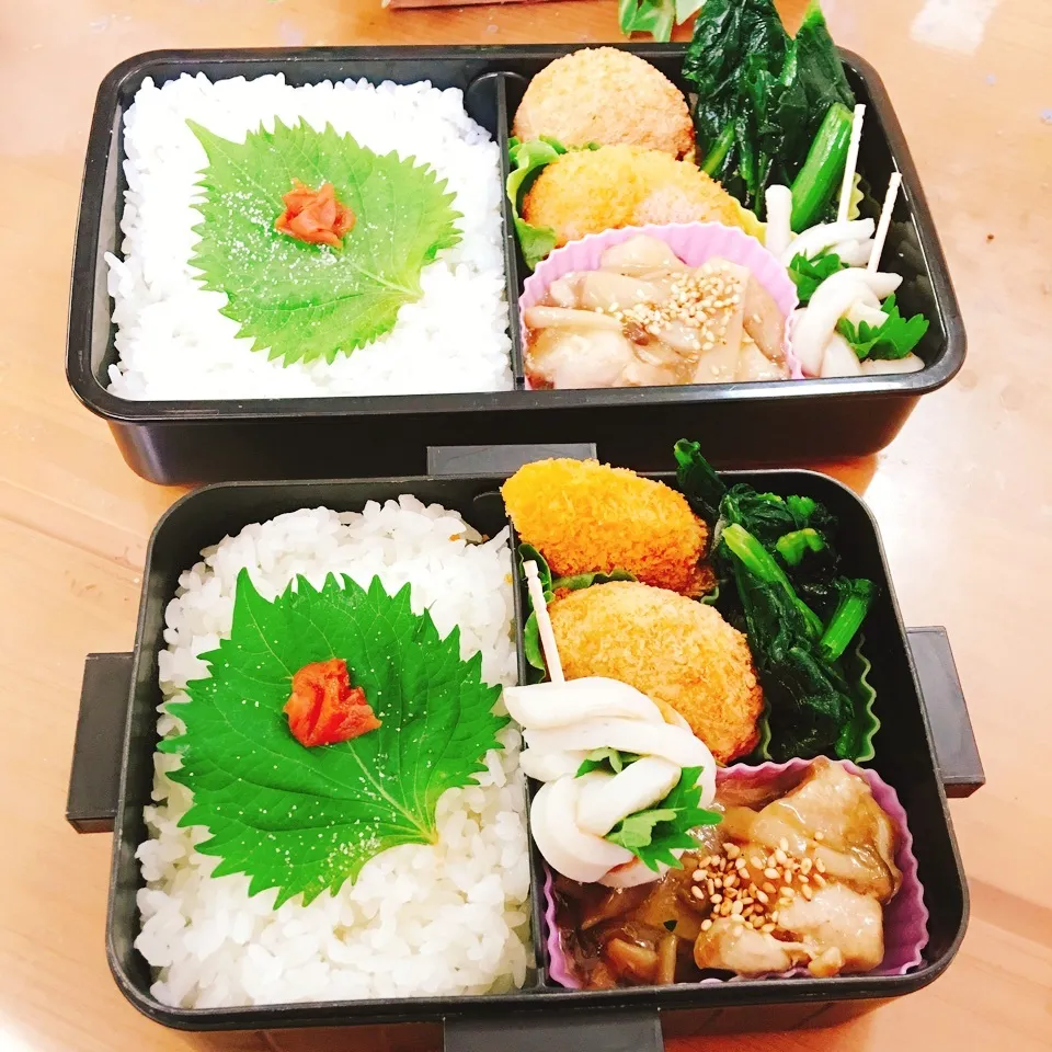 JKお弁当☆DKお弁当☆7/12|okikaさん