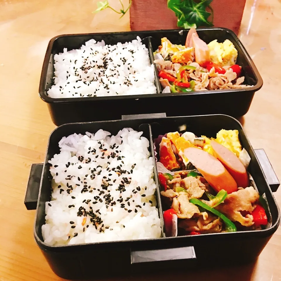 Snapdishの料理写真:JKお弁当☆DKお弁当☆6/19|okikaさん