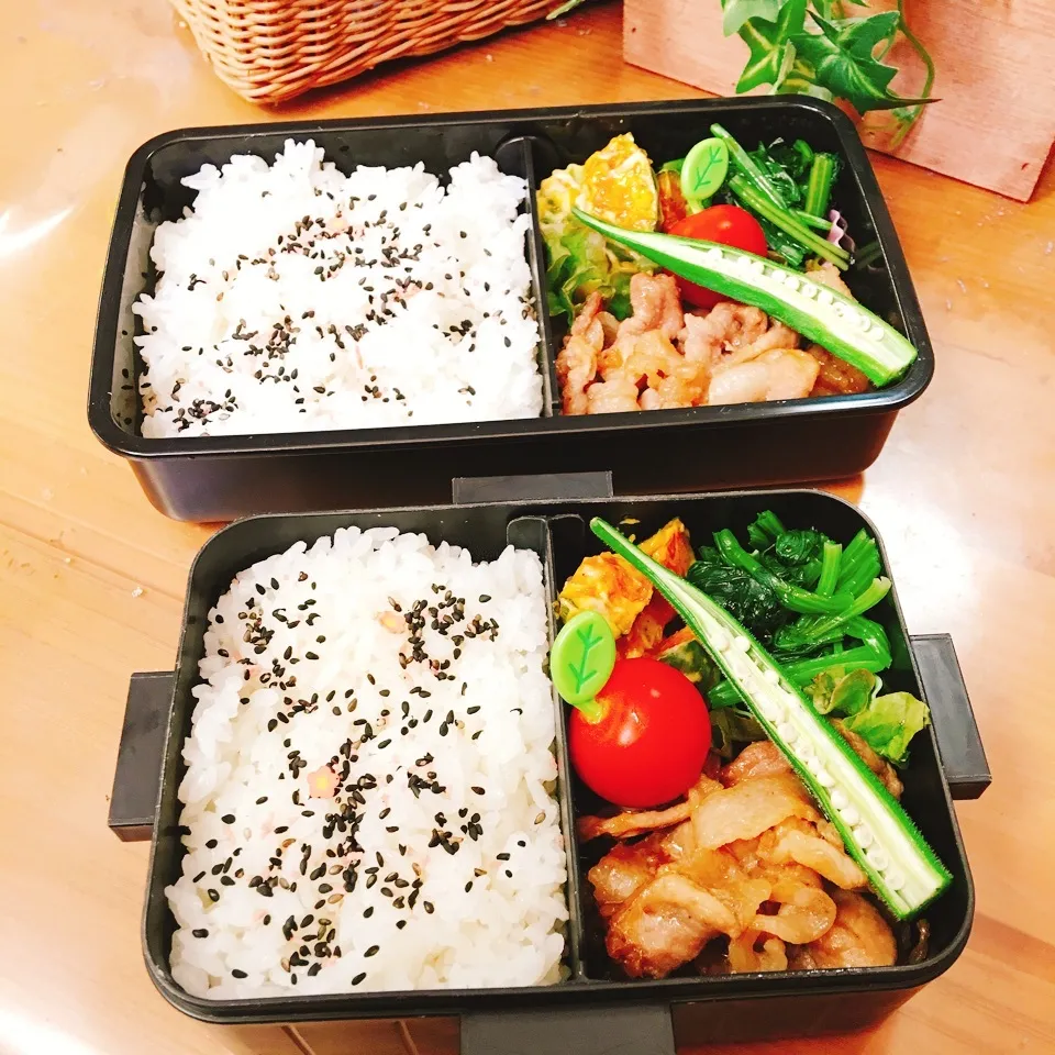 JKお弁当☆DKお弁当☆6/13|okikaさん