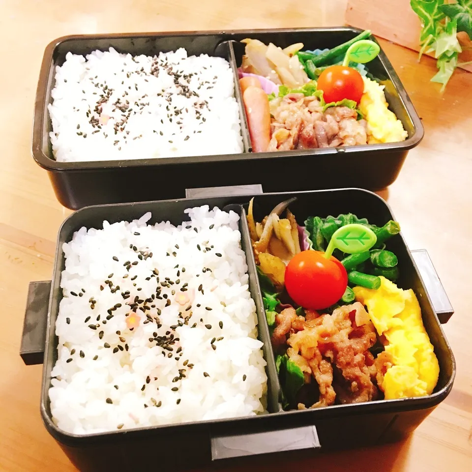 JKお弁当☆DKお弁当☆5/23|okikaさん