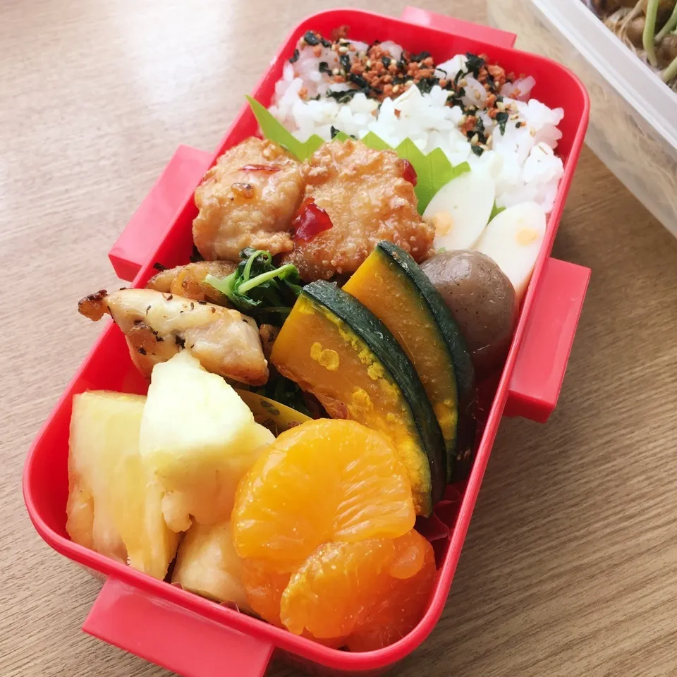 女子大生1年 豆苗炒め弁当|あこみさん