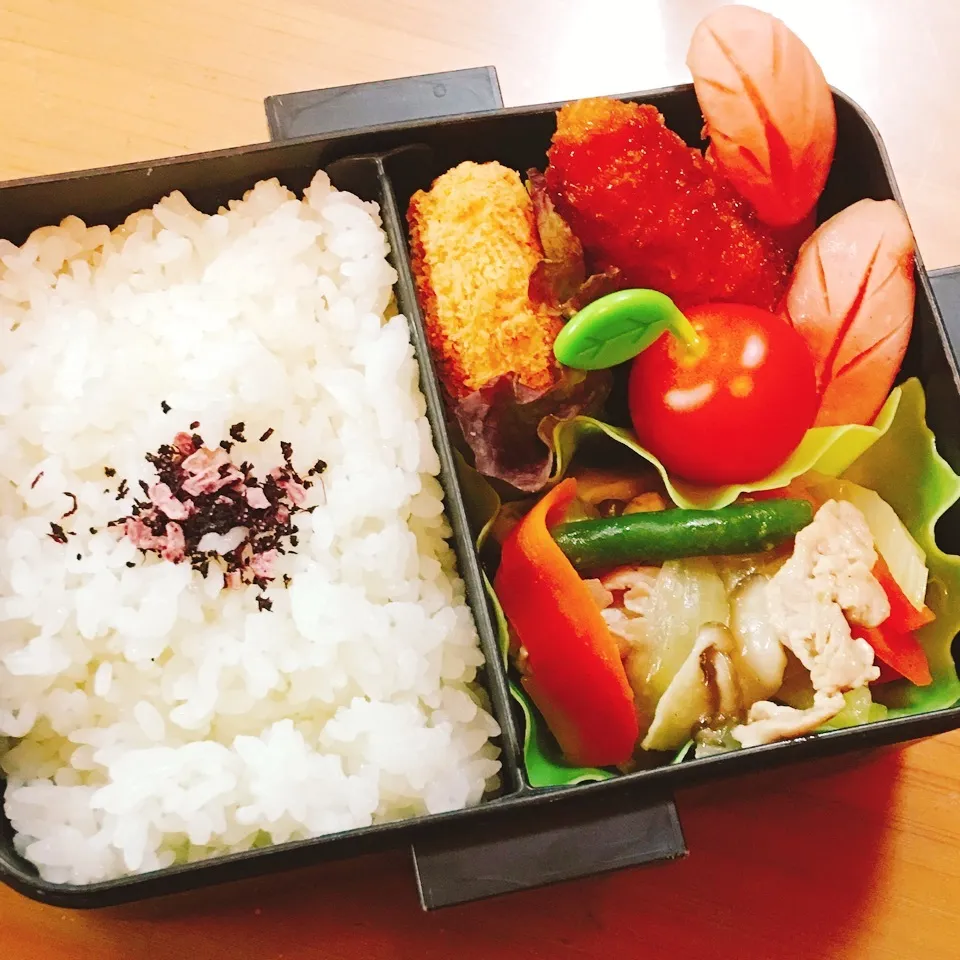 Snapdishの料理写真:JKお弁当☆2/6|okikaさん