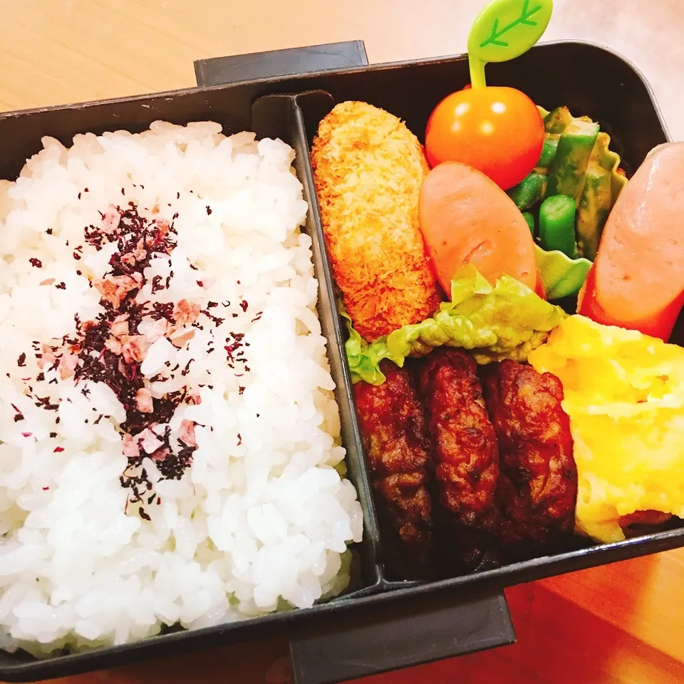 Snapdishの料理写真:JKお弁当☆2/5|okikaさん