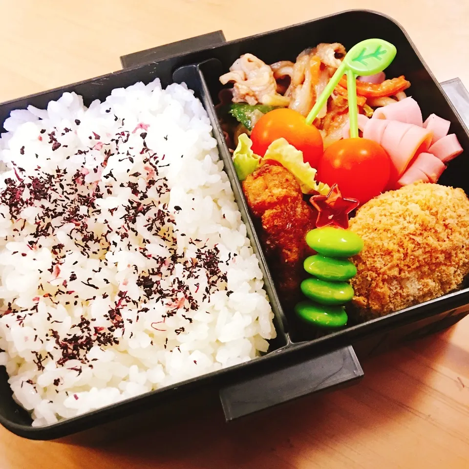 Snapdishの料理写真:JKお弁当☆8/7|okikaさん