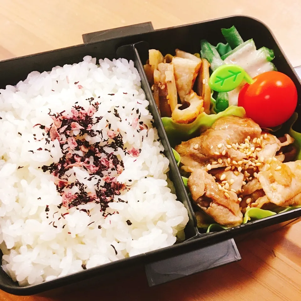 Snapdishの料理写真:JKお弁当☆6/7|okikaさん