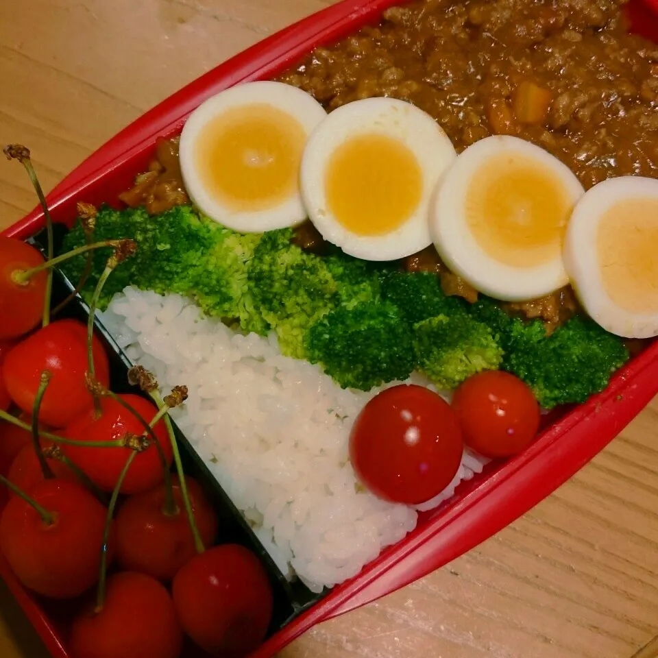 今日のお弁当|mikaさん