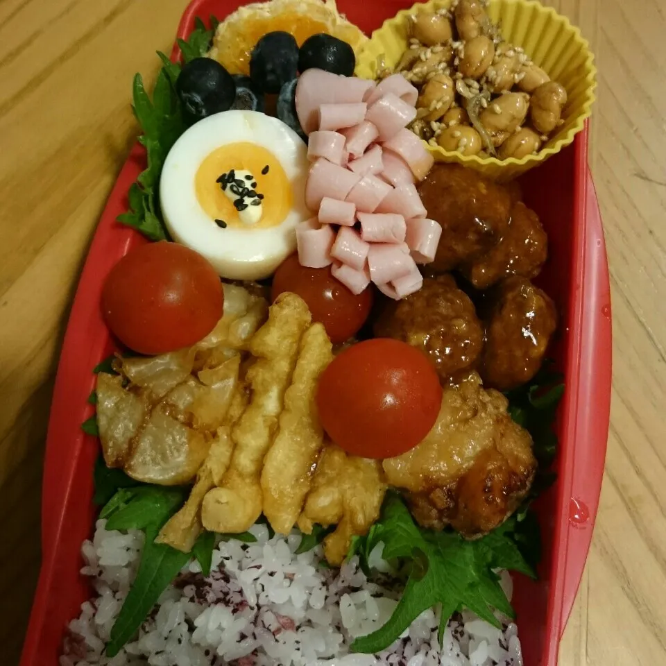 今日のお弁当|mikaさん