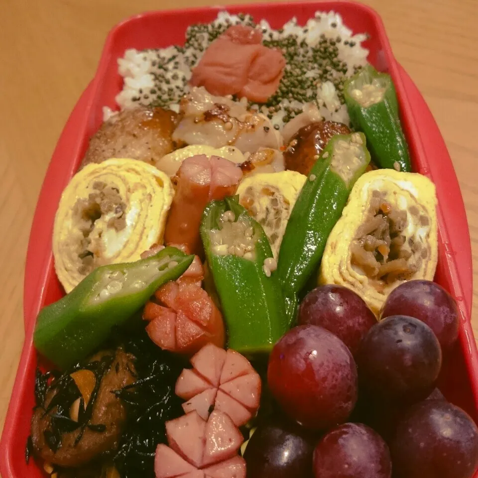 Snapdishの料理写真:今日のお弁当|mikaさん