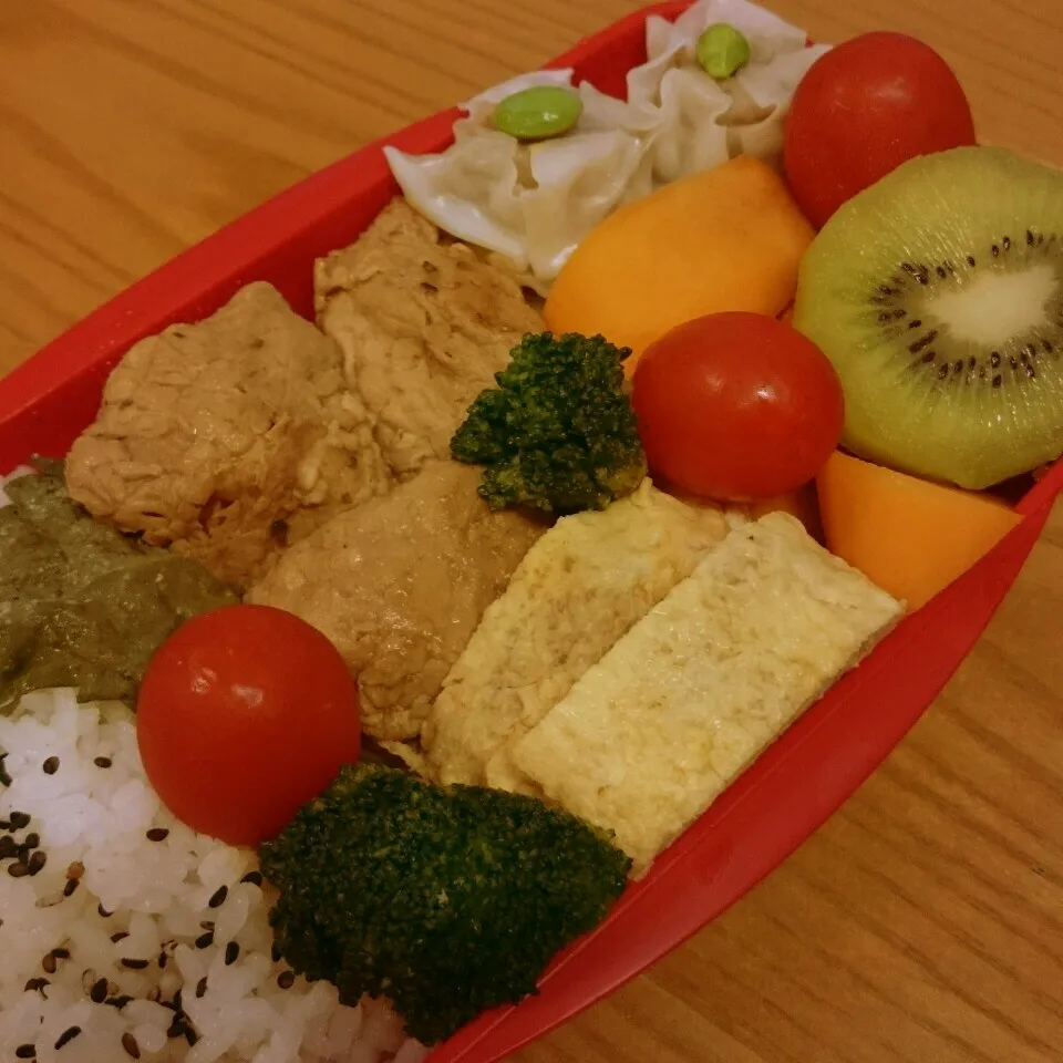 今日のお弁当|mikaさん