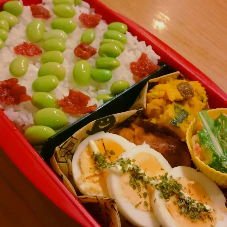 Snapdishの料理写真:今日のお弁当|mikaさん