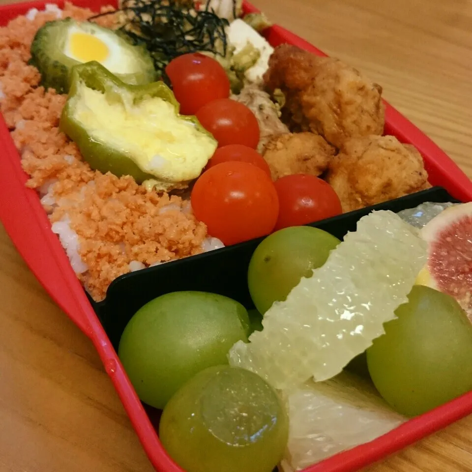 今日のお弁当|mikaさん