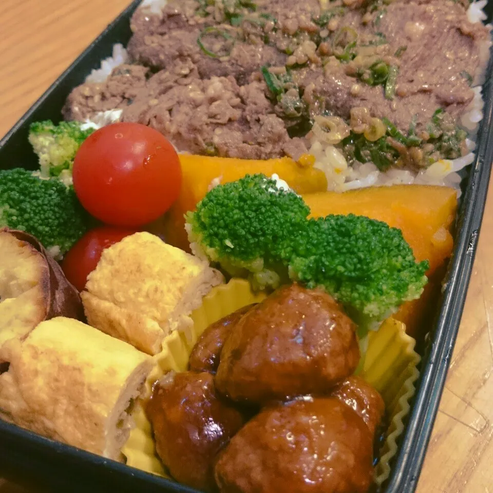 今日のお弁当|mikaさん