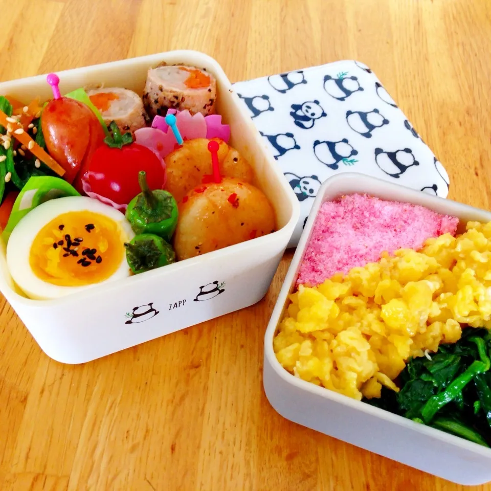 ひな祭りの日のお弁当^_^|Sakiko Daichoさん