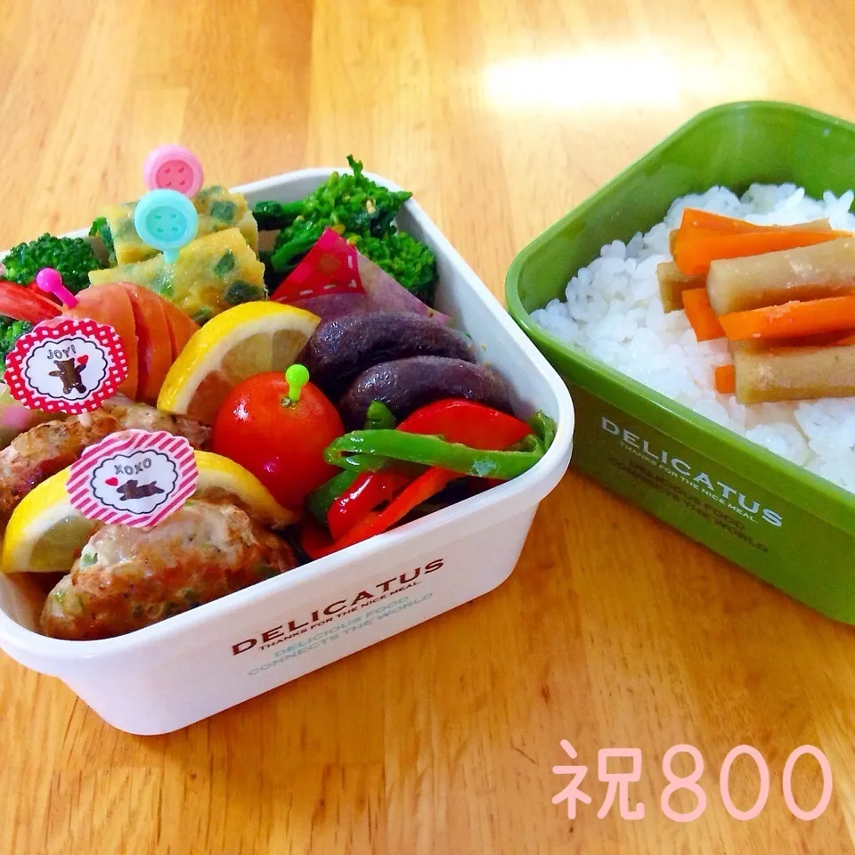 からビちゃん祝800のお弁当(^○^)|Sakiko Daichoさん