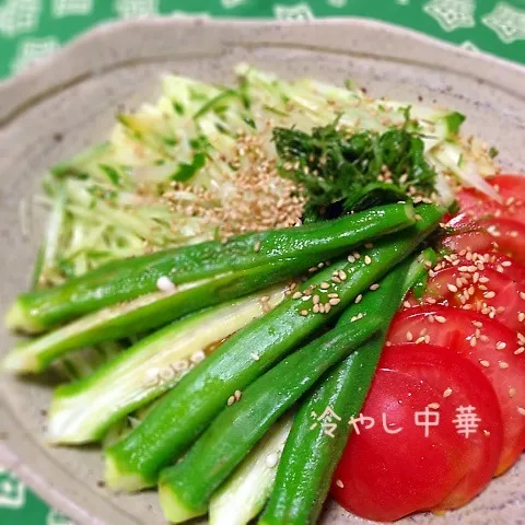 一人ごはん☆冷やし中華|インコ夫人さん