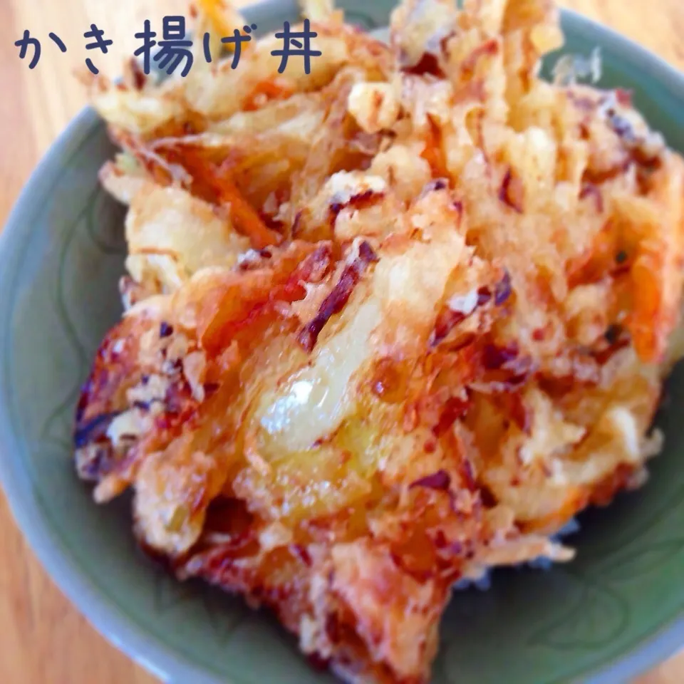 かき揚げ丼のお昼ごはん^_^|Sakiko Daichoさん