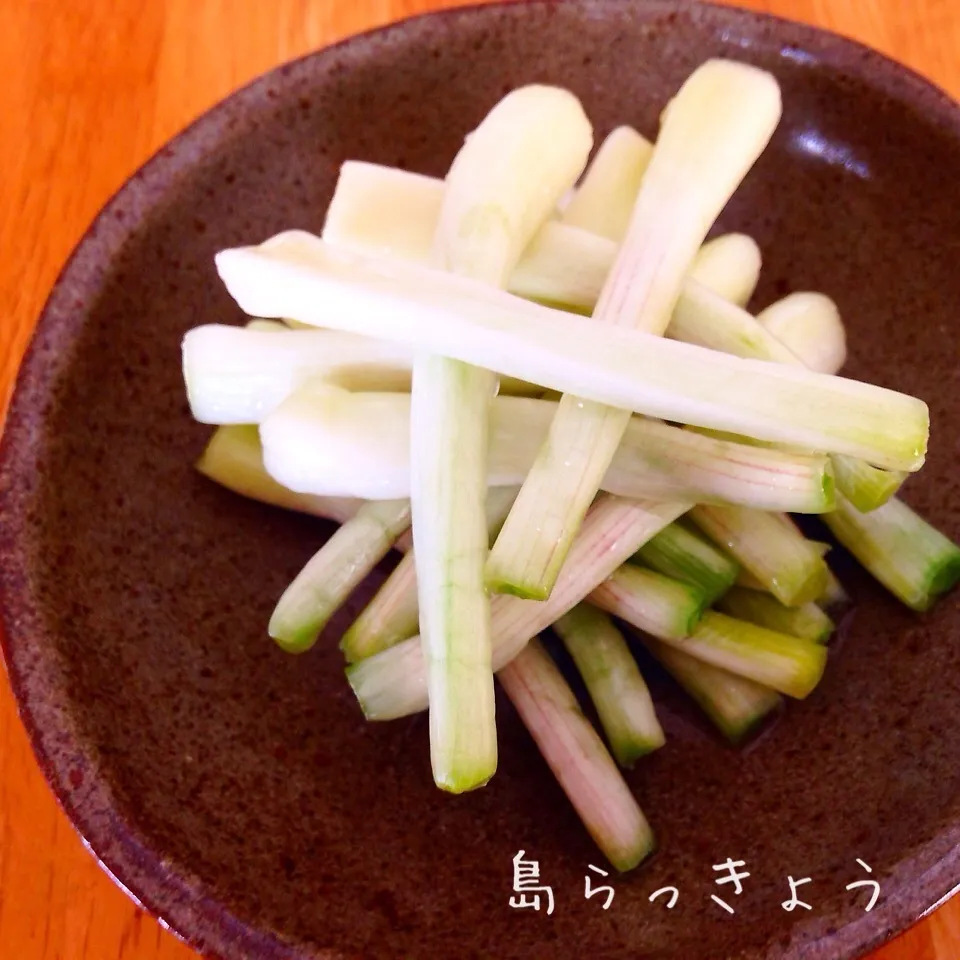 沖縄の島らっきょうの塩漬け^_^|Sakiko Daichoさん