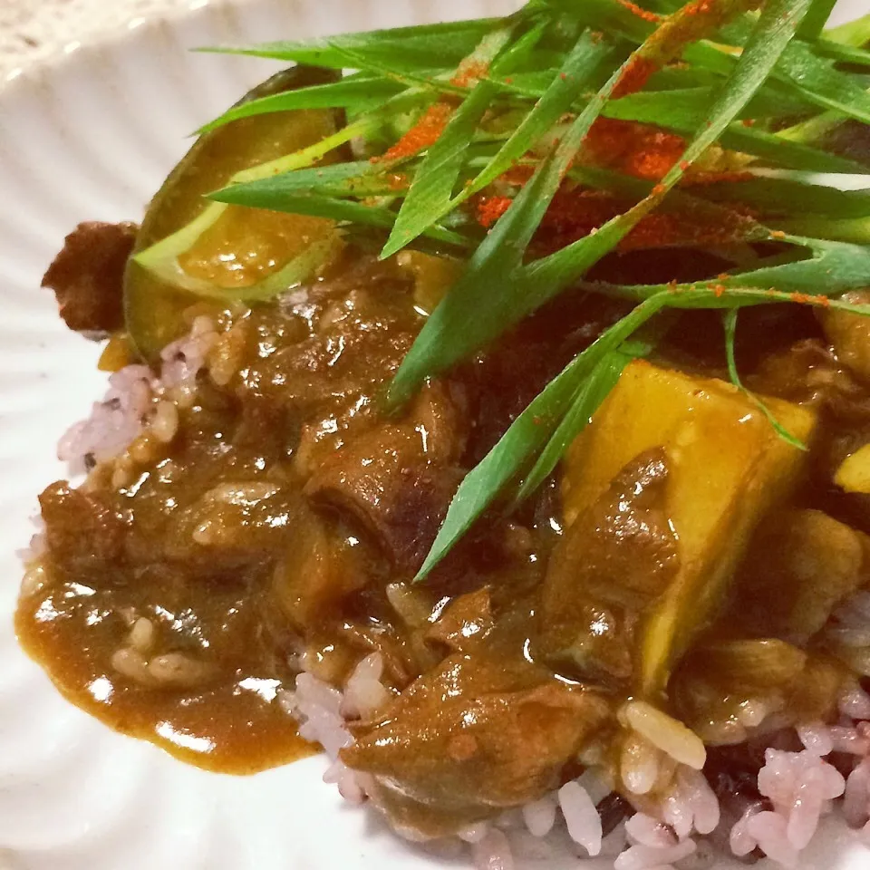 牛スジと賀茂茄子のカレー＊*|みゆゆさん