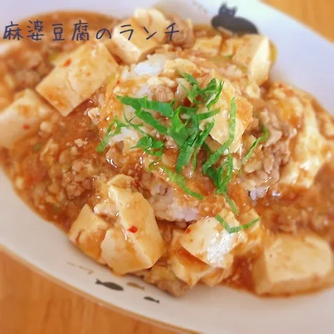 Snapdishの料理写真:ささっと麻婆豆腐のお昼ごはん^o^|Sakiko Daichoさん