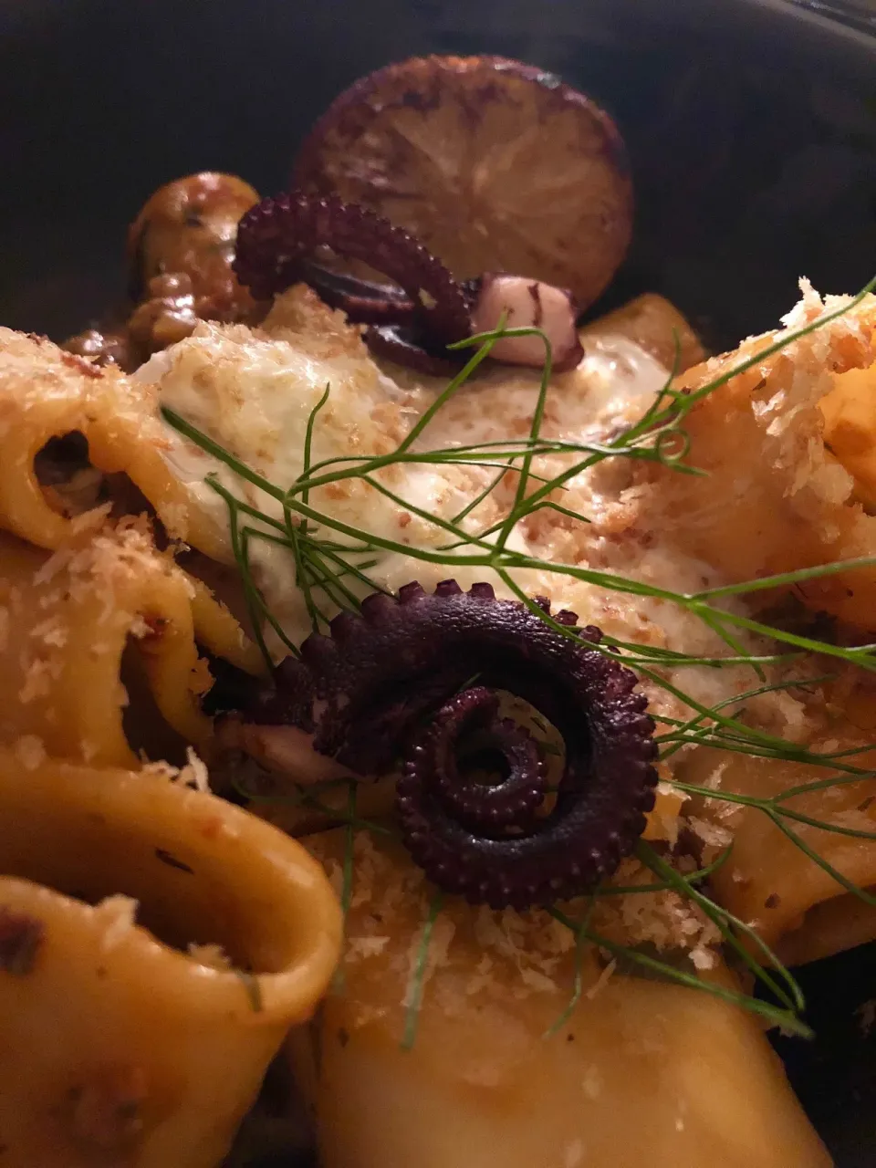 Paccheri with Octopus and Fennel|Christine pavelkaさん