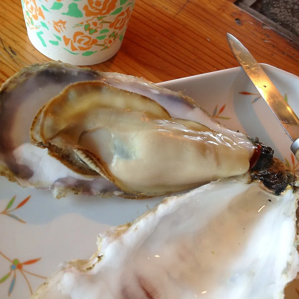 釧路で食べた焼きカキ！|Sakiko Daichoさん