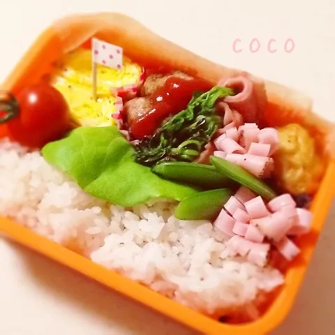 お弁当 (*^▽^*)|ここさん