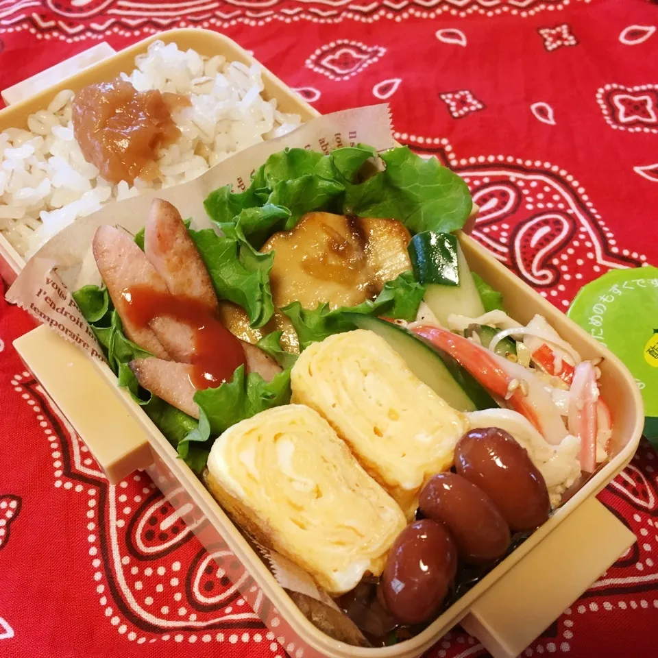 Snapdishの料理写真:高3娘のお弁当|ケイトママさん