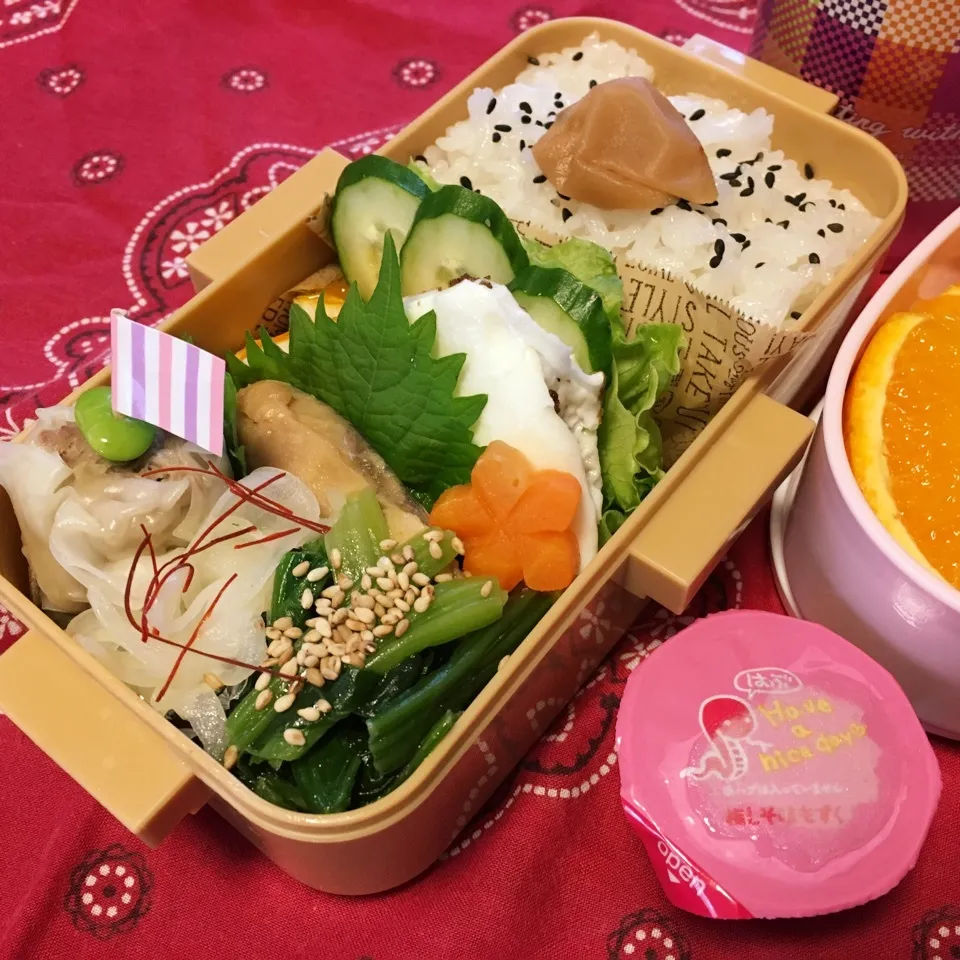 高2娘のお弁当|ケイトママさん