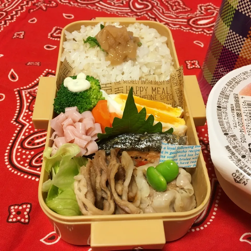 Snapdishの料理写真:高2娘のお弁当|ケイトママさん