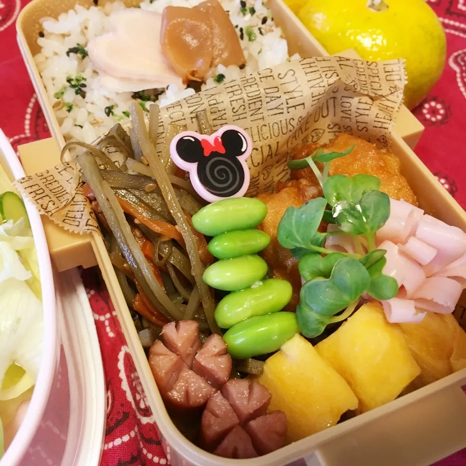 Snapdishの料理写真:高2娘のお弁当|ケイトママさん