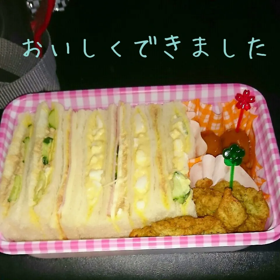 長男の臨海のお弁当|刹那さん