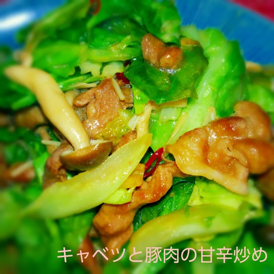 Snapdishの料理写真:✓ご飯がすすむ🎵キャベツと豚肉の甘辛炒め|あんみっちゃんさん