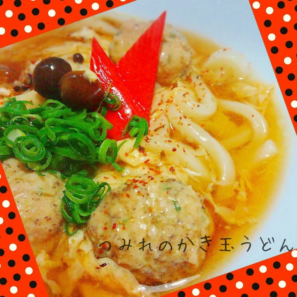 Snapdishの料理写真:ホッとする美味しさ🎵つみれのかき玉うどん|あんみっちゃんさん