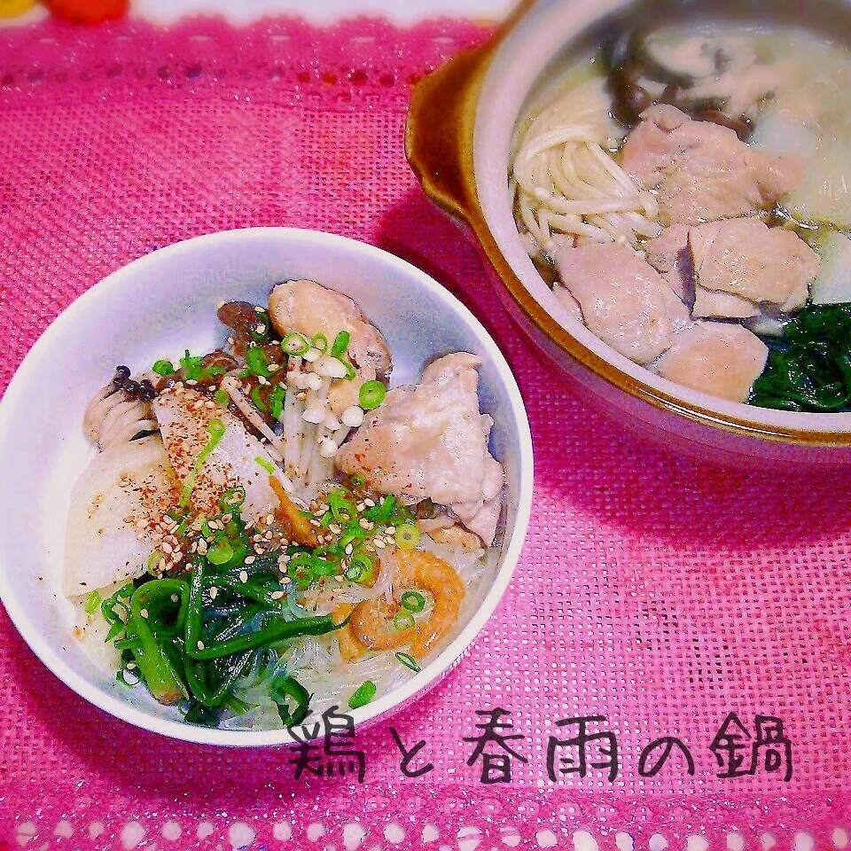 旨味のしみた春雨も魅力♪鶏と春雨の鍋|あんみっちゃんさん