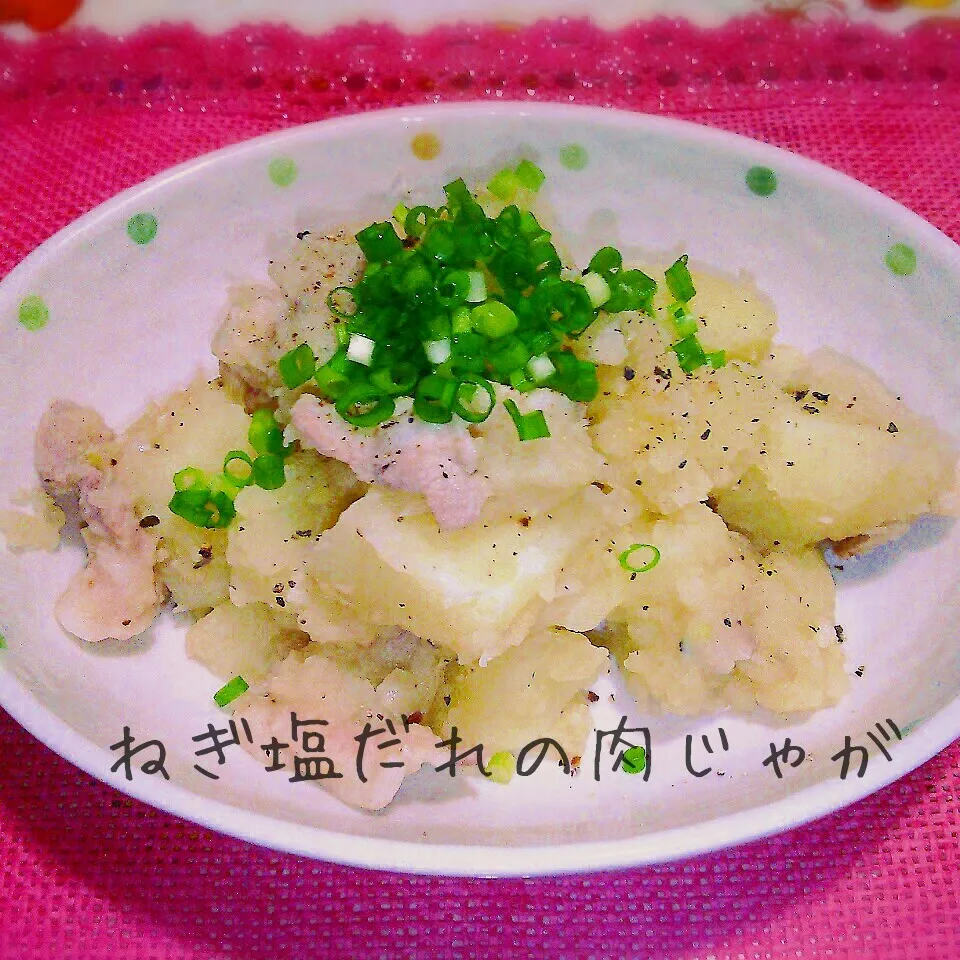 Snapdishの料理写真:✓見た目は地味なのに美味しい♡ねぎ塩だれの肉じゃが|あんみっちゃんさん