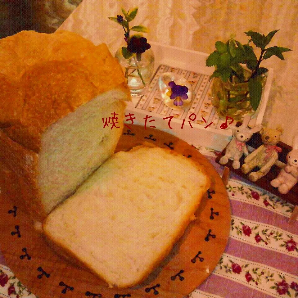 Snapdishの料理写真:焼きたてパン♪|naonaomimichanさん