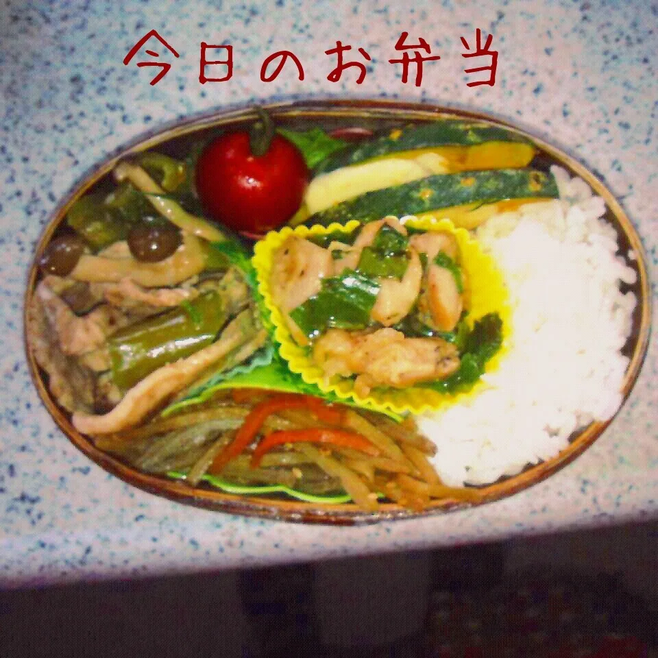 Snapdishの料理写真:今日のお弁当♪|naonaomimichanさん