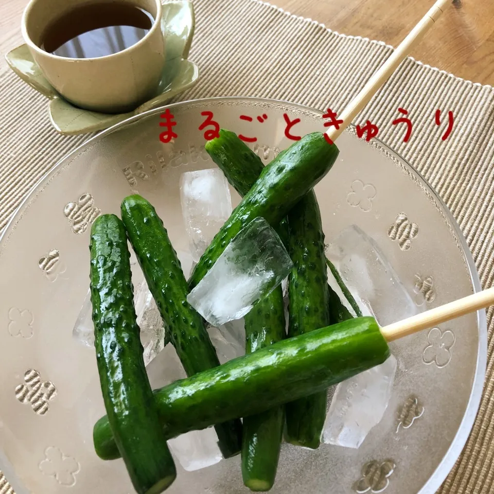 Snapdishの料理写真:ミニきゅうり🥒のまるごと漬物🤗|あとさん