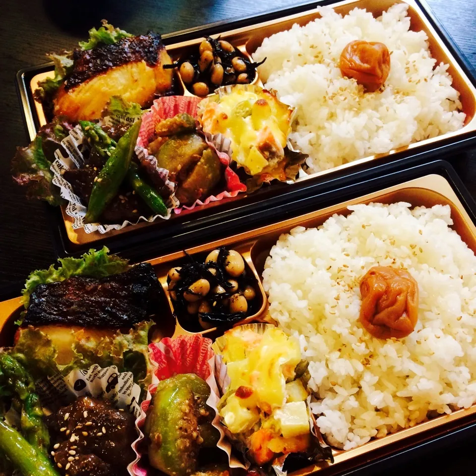 今日の芸人さんのお弁当|さーたんさん