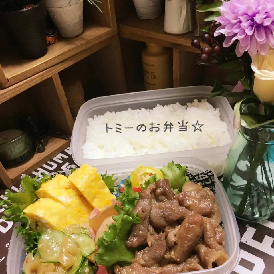 Snapdishの料理写真:豚の生姜焼きと常備菜で☆旦那のお弁当|あずさん