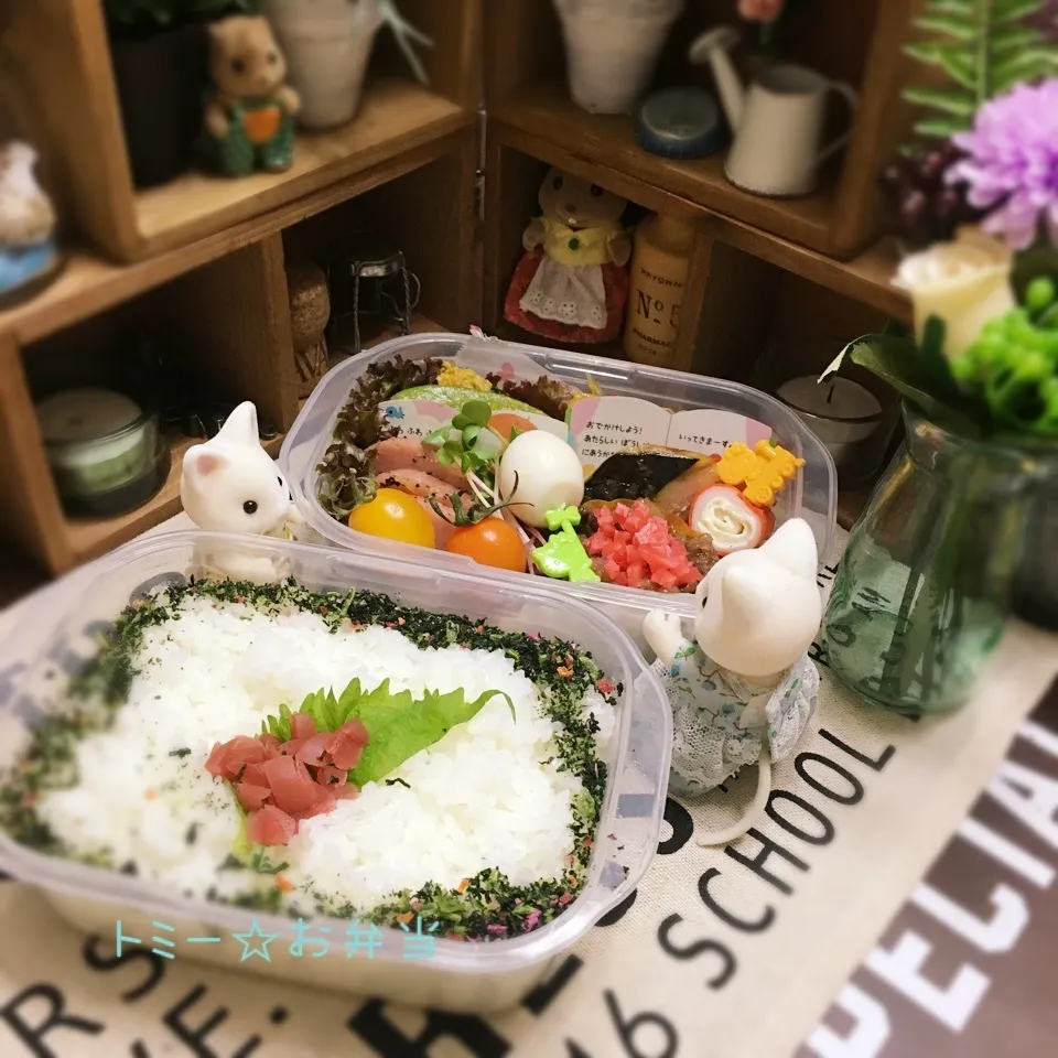 Snapdishの料理写真:絵本バランが お気に入り♪旦那のお弁当|あずさん