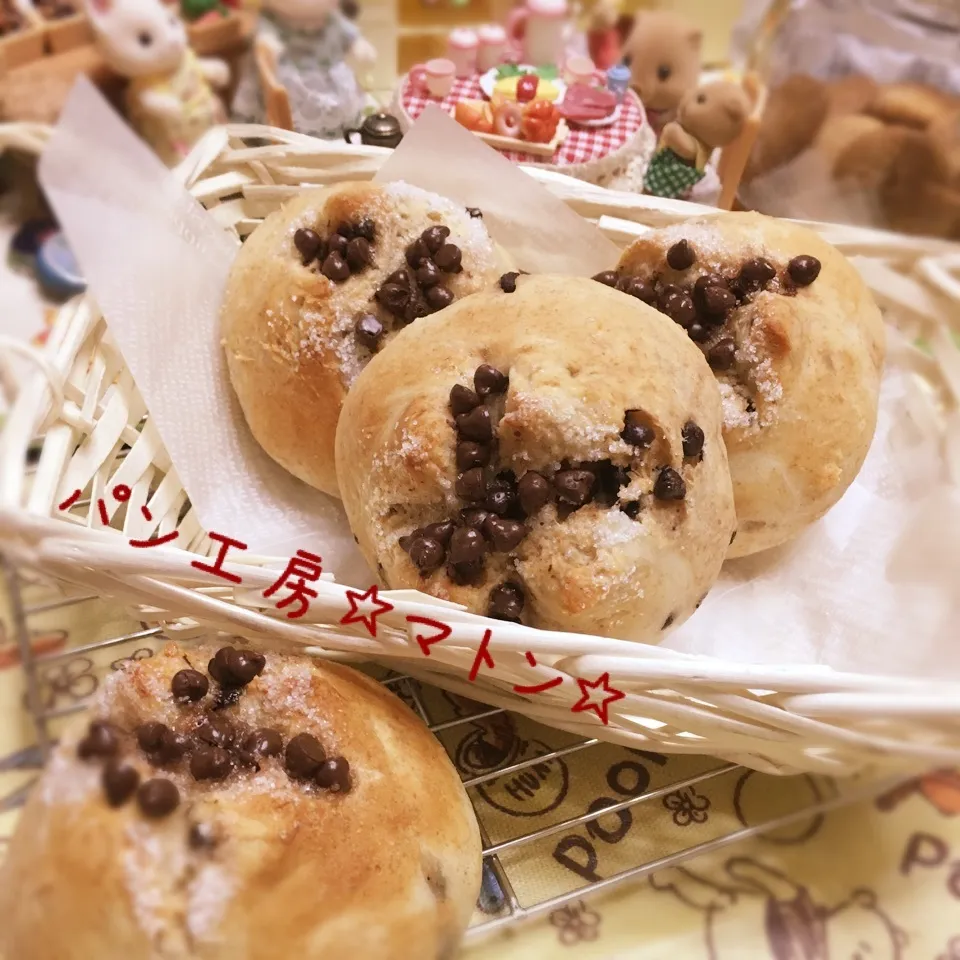 パン工房🐑マトン☆祝☆入部‼︎湯種手捏ねチョコチップパン♪|あずさん