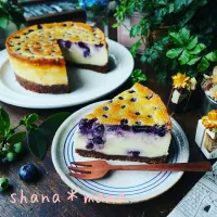 Snapdishの料理写真:混ぜたら焼くだけ♪超絶濃厚ベイクドブルーベリーチーズケーキ♪