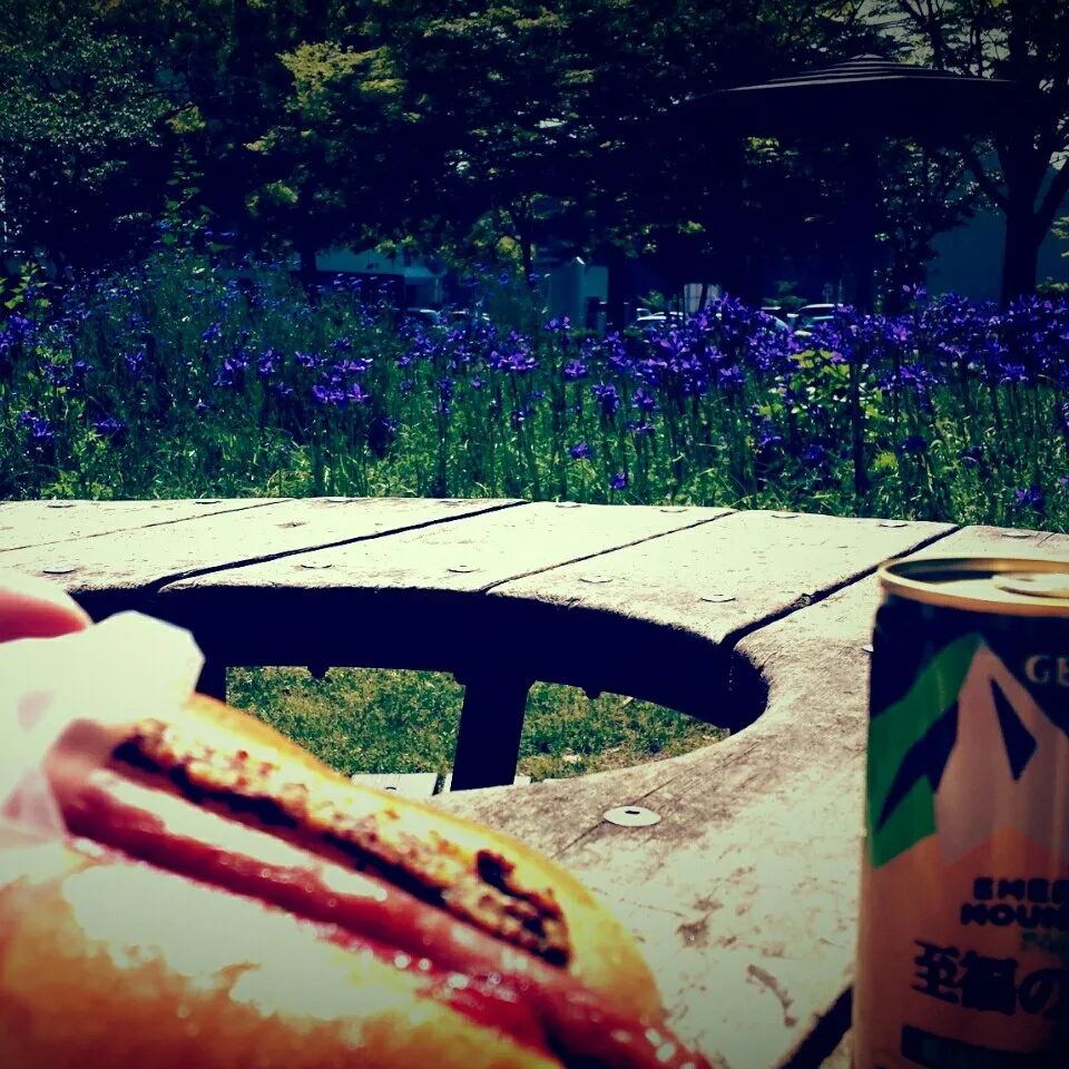 Snapdishの料理写真:branch in park。。。|masaki .fさん