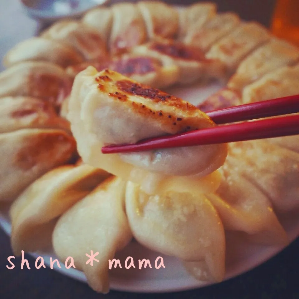 肉汁溢れる～♪皮から手作りもっちりジューシー焼き餃子♪|しゃなママさん