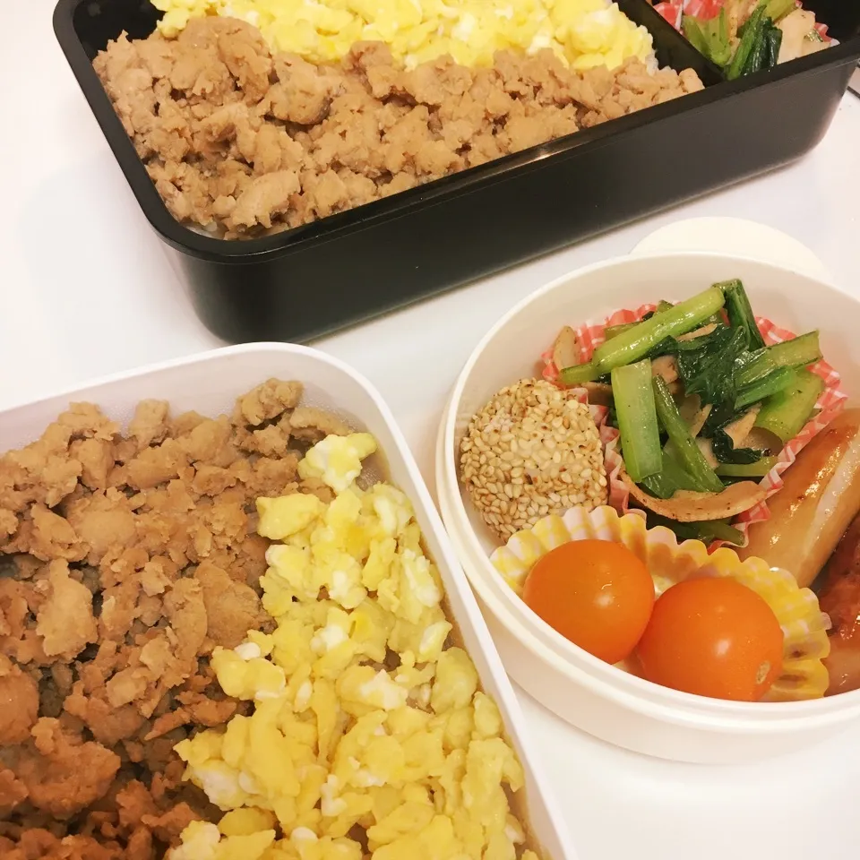 息子弁当とオット弁当 そぼろ丼と小松菜ソテー|ちゃーごさん