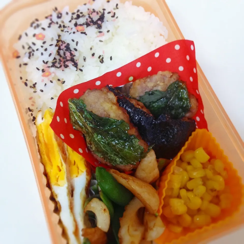 9.14のお弁当( *´艸｀)|ちゃーごさん