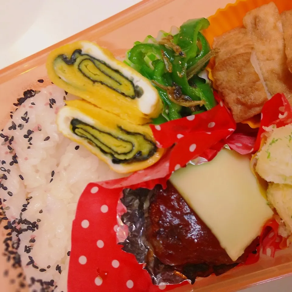 1/19 チーズのせハンバーグ弁当|ちゃーごさん