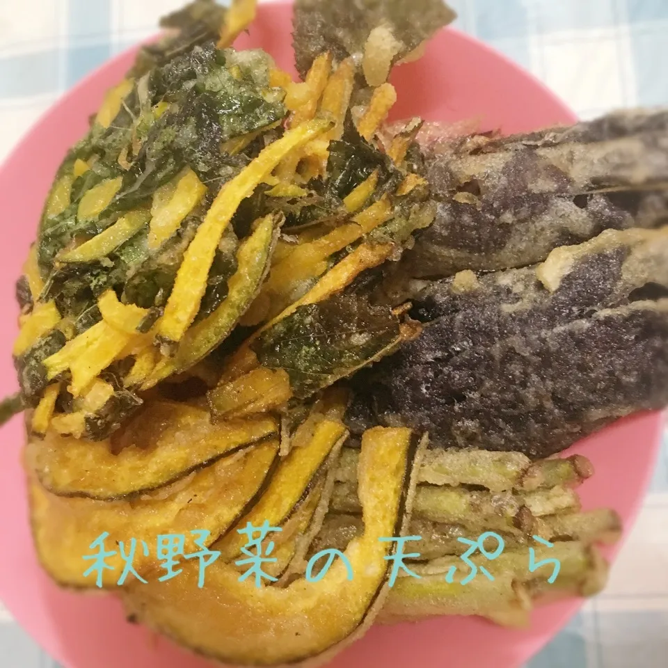 秋野菜の、天ぷら盛り合わせ|なっつんさん